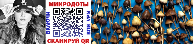 Галлюциногенные грибы Psilocybine cubensis  закладка  Салехард 